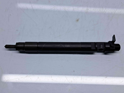 Injector PEUGEOT Expert (II) [Fabr 2007-prezent] 9686191080 2.0 TDCI TXDA 103KW / 140CP