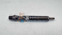 Injector Renault Clio 3 [Fabr 2005-2012] 166000897...