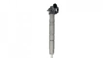 Injector Renault GRAND SCENIC III (JZ0/1_) 2009-20...