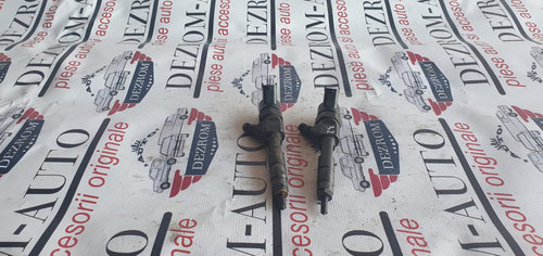 Injector Renault Megane I 1.9 dCi 102/105cp cod piesa : 0445110146