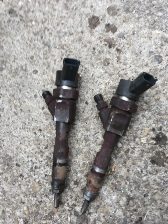 Injector Renault Scenic 2 [2003 - 2006] Minivan 5-usi 1.9 dCi MT (120 hp) II (JM0/1_)