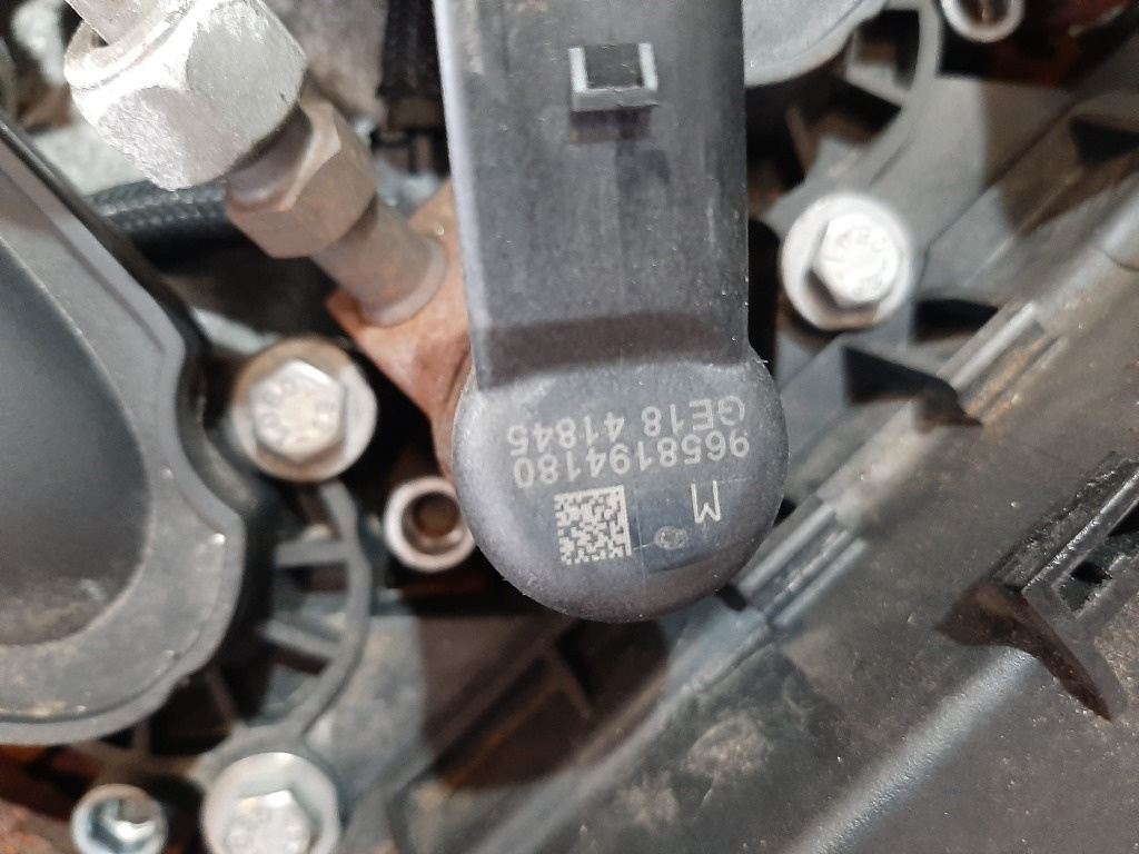 Injector rhj 2.0 hdi citroen c4 picasso peugeot 407 9658194180