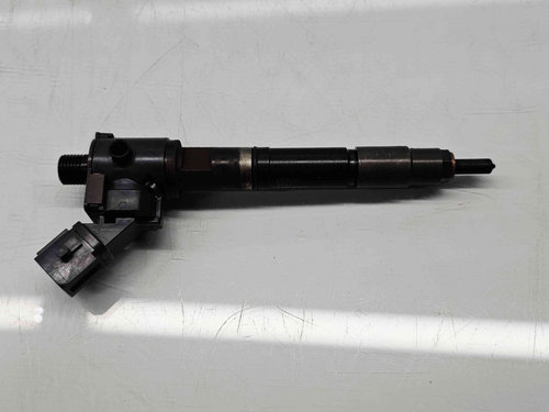 Injector Volvo V70 III (P80) [Fabr 2007-2016] VEA13-2370010-AAB 2.0 D4204TS 133KW / 181CP
