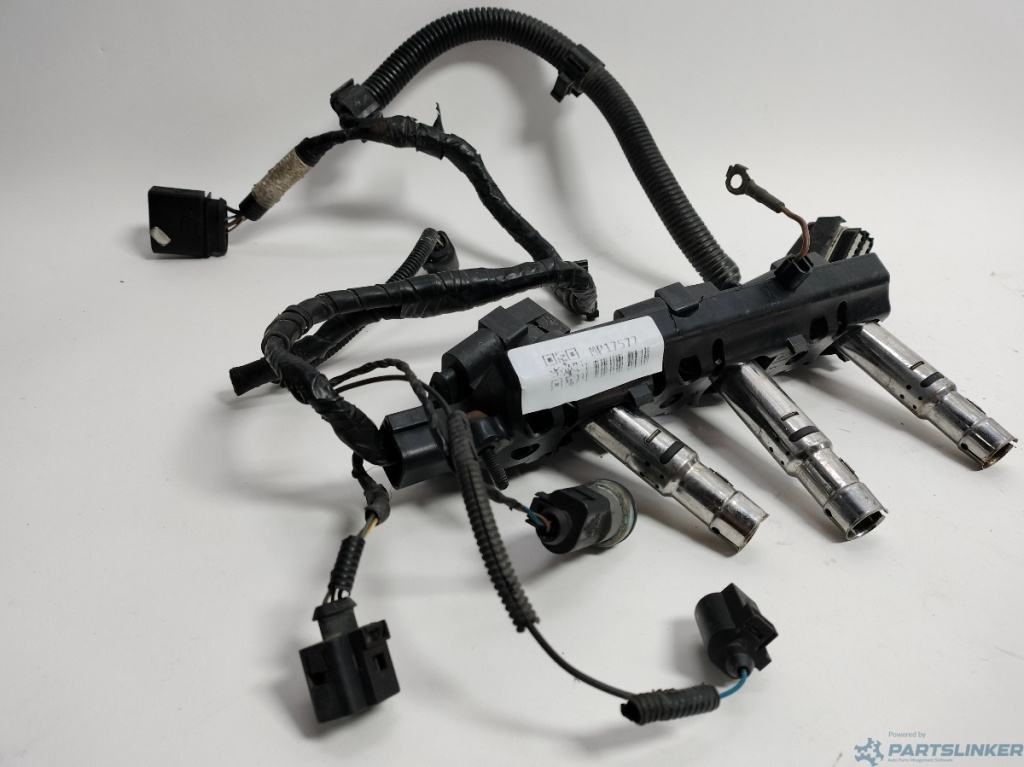Instalatie bobina inductie SEAT IBIZA IV (6L1) [ 2002 - 2009 ] 16V (AUB, BBZ) 74KW|100HP OEM 0040102030 0040 102 030