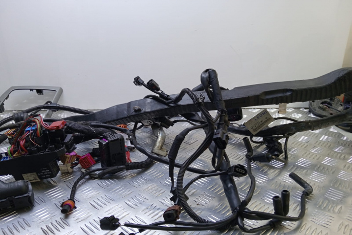 Instalatie electrica 1.9 tdi 8E2971074BT Audi A4 B7 [2004 - 2008]