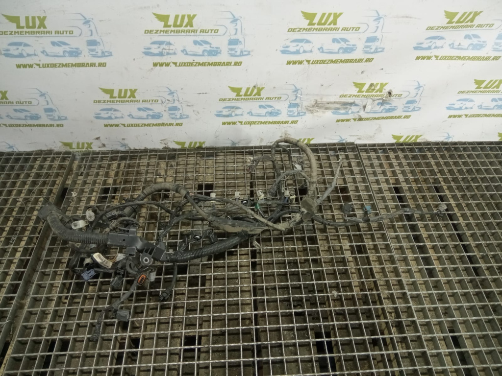 Instalatie electrica 36650-62r80 Suzuki Ignis 3 [2016 - 2020] 1.2 benzina K12C