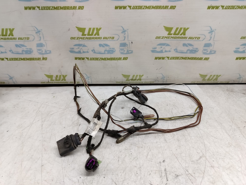 Instalatie electrica 8e0971095 Audi A4 B6 [2000 - 2005]