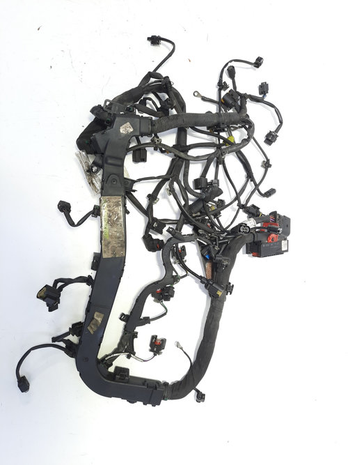 Instalatie electrica, cod A6510100004, Mercedes Clasa C Coupe (C204), 2.2 CDI, OM651911 (idi:485399)
