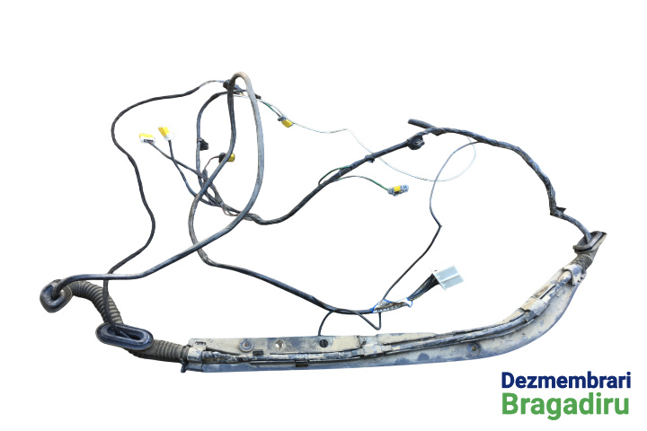 Instalatie electrica haion Cod: 8200066311 8200066311 Renault Laguna 2 [2001 - 2005] Grandtour wagon 1.9 DCi MT (120 hp) Cod motor F9Q-C7-50