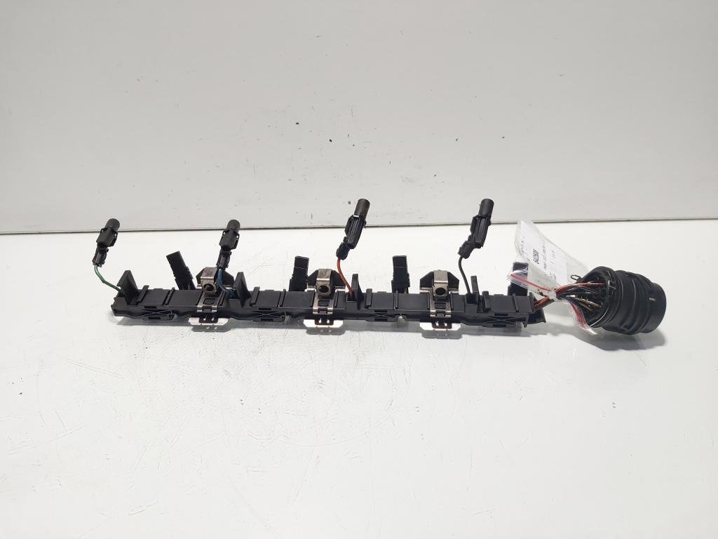 Instalatie electrica injectoare, Vw Passat (3C2) 2.0 TDI, BKP (id:642508)