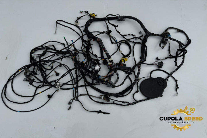 Instalatie electrica interior 241634962R 28243409R Renault Espace 5 [2015 - 2019]