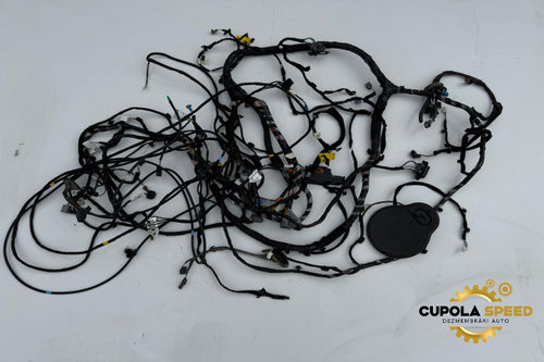 Instalatie electrica interior 241634962R 28243409R Renault Espace 5 [2015 - 2019]