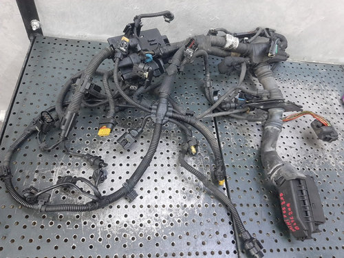 Instalatie electrica motor 2.0 d b47c20a mini cooper f55 12518583462 53781210