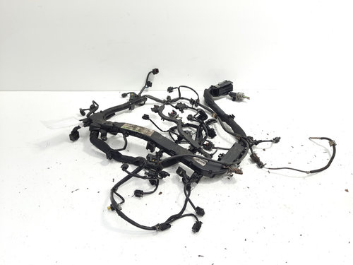 Instalatie electrica motor, cod 6510106348, Mercedes Clasa C (W204), 2.2 CDI, OM651913 (id:600320)