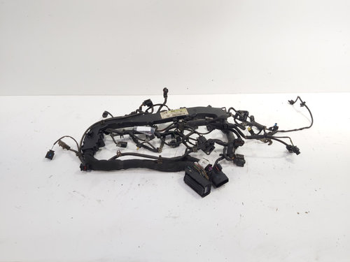 Instalatie electrica motor, cod 6510109048, Mercedes Clasa C (W204) 2.2 CDI, OM651913 (id:649064)