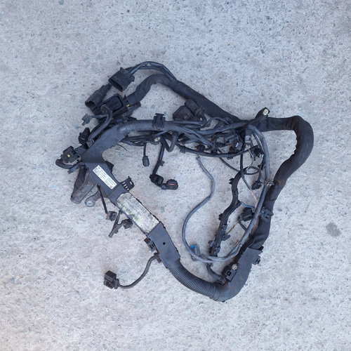Instalatie Electrica Motor Mercedes-Benz SPRINTER (W906) 2006 - 2018 A6511505520, A6510109905, 72106...