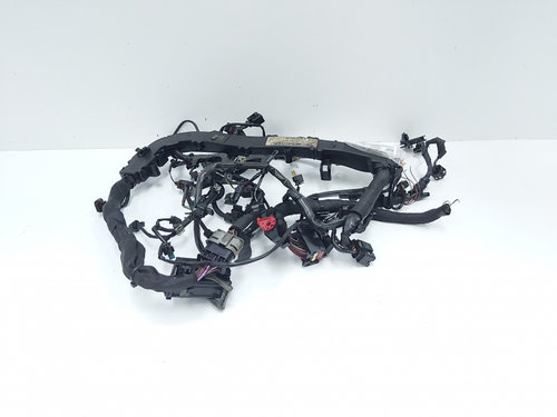 Instalatie electrica motor, Mercedes Clasa C T-Model (S204) 2.2 CDI, OM651911 (id:652267)