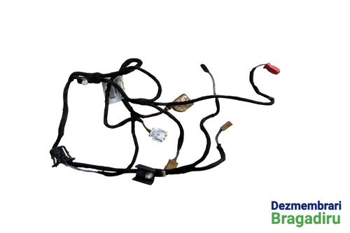 Instalatie electrica pe usa stanga spate Cod: 3R0971693A Seat Exeo [2009 - 2012] Sedan 2.0 TDI MT (1...