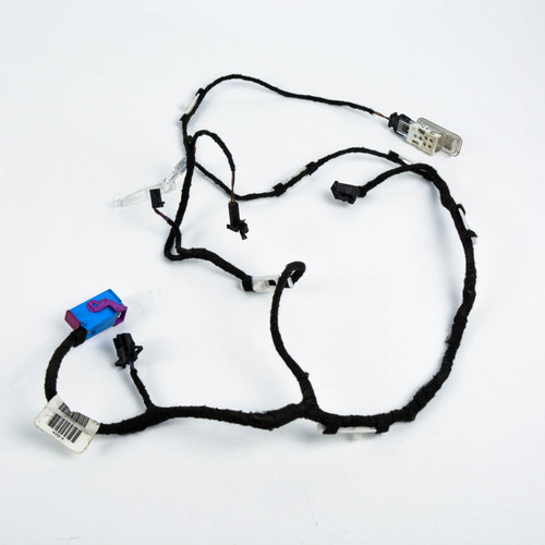 Instalatie Electrica Portiera Audi A6 (4F, C6) 2004-2011 Fata Stanga Volan Pe Stanga Lhd 4F1971035B