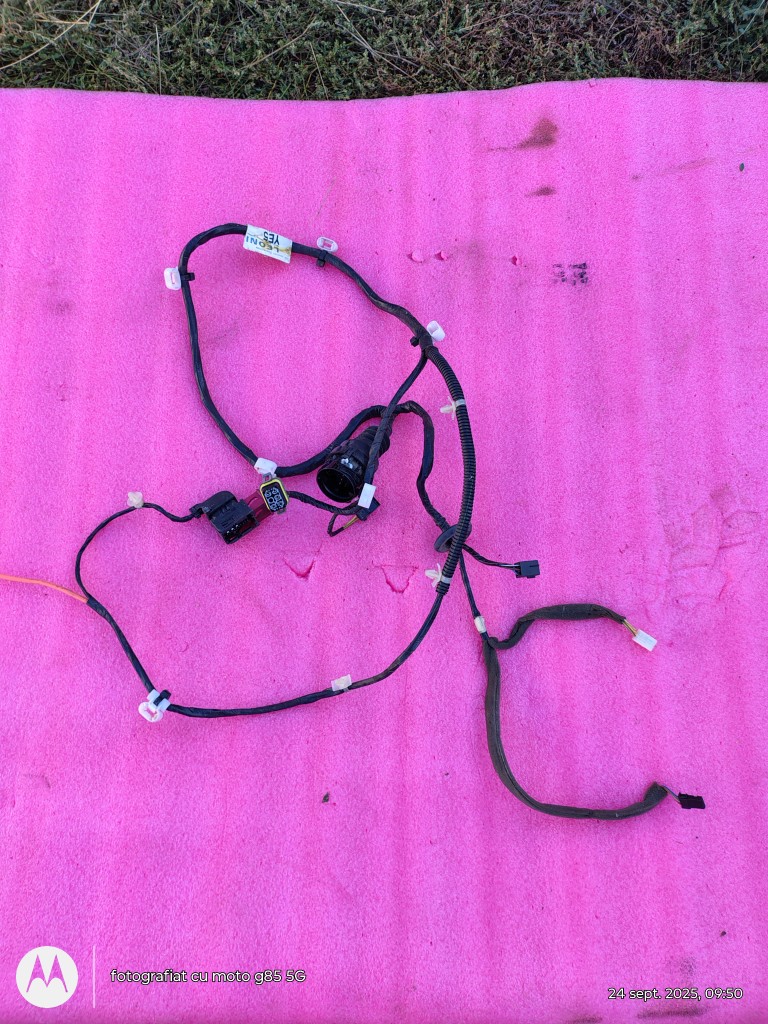 Instalatie electrica portiera dreapta fata Opel Zafira A ( 1999 - 2005 )