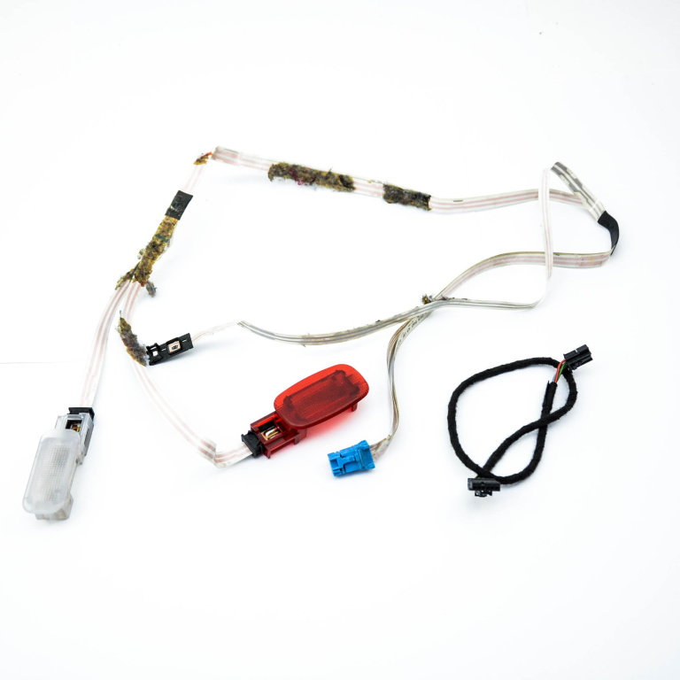 Instalatie Electrica Portiera Mercedes-Benz Cls (C219) 2004-2010 Cls 320 Cdi (219.322) Om 642.920 Motorina Spate Stanga Volan Pe Stanga Lhd A2195404305