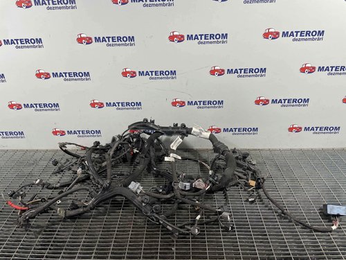 INSTALATIE ELECTRICA RENAULT MEGANE 1.5 DCI - (2016 2020)