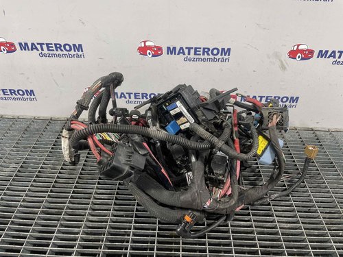 INSTALATIE ELECTRICA RENAULT MEGANE MEGANE 1.5 DCI - (2008 2012)