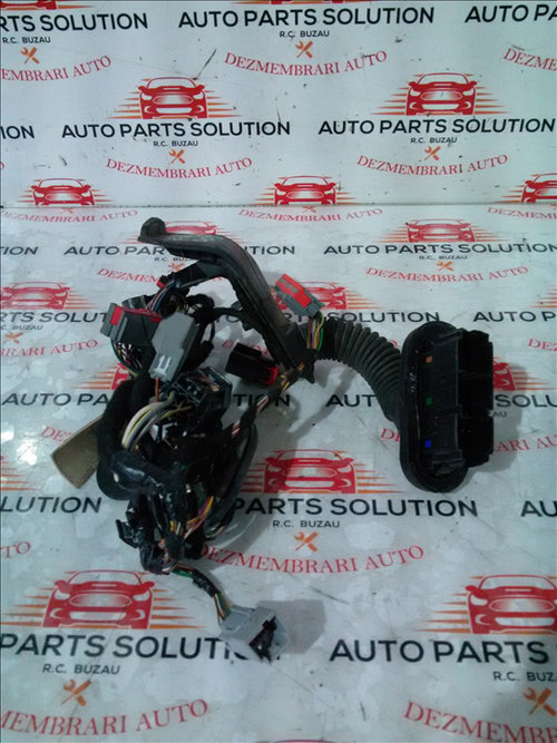 Instalatie electrica usa dreapta fata FORD FIESTA 1.6 D an fabr. 2013
