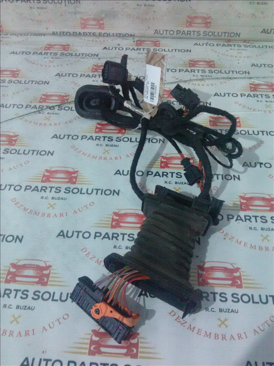 Instalatie electrica usa dreapta fata VW PASSAT B6