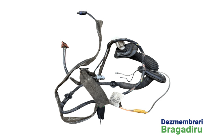 Instalatie electrica usa fata dreapta Cod: 8200525192 8200525192 Renault Megane 2 [facelift] [2006 - 2012] Hatchback 5-usi 1.5 dCi MT (86 hp)