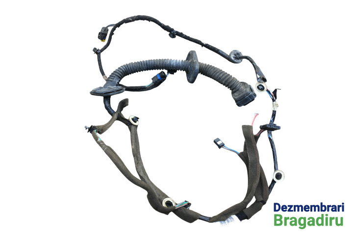 Instalatie electrica usa fata dreapta Cod: 241242679R Renault Megane 3 [2008 - 2014] wagon 5-usi 1.9 dCi MT (130 hp) EURO 5