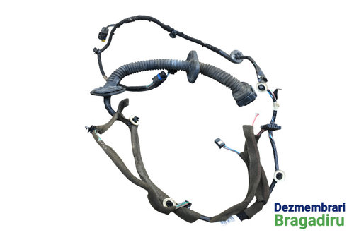 Instalatie electrica usa fata dreapta Cod: 241242679R Renault Megane 3 [2008 - 2014] wagon 5-usi 1.9...