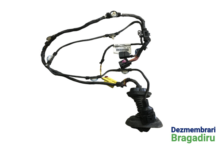 Instalatie electrica usa fata stanga Cod: 3R0971029 3R0971029 Seat Exeo [2009 - 2012] Sedan 2.0 TDI MT (143 hp) Cod motor: CAGA, Cod culoare: LW7X