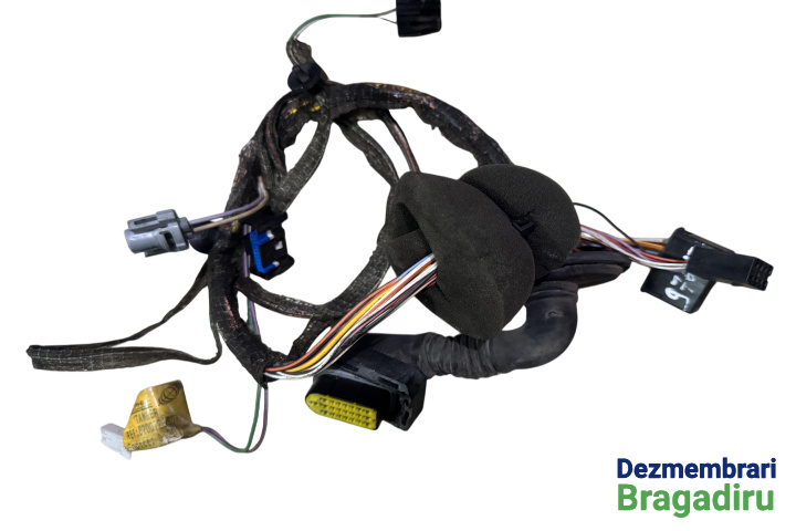 Instalatie electrica usa fata stanga Cod: 8200122307 8200122307 Renault Clio 2 [facelift] [2001 - 2005] Hatchback 5-usi 1.5 dCi MT (82 hp) Cod motor: K9K-B7-02