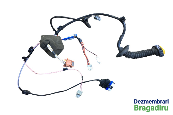 Instalatie electrica usa spate stanga Cod: 8200276469 8200276469 Renault Laguna 2 [2001 - 2005] Liftback 1.9 DCi MT (120 hp) II (BG0/1_)