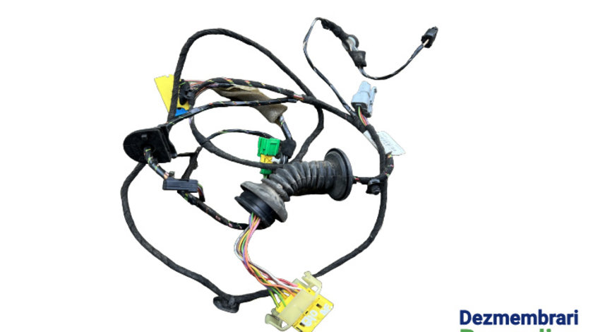 Instalatie electrica usa stanga Cod: 9657593480 Citroen C4 [2004 - 2008] Hatchback 3-usi 1.6 HDi MT (109 hp)