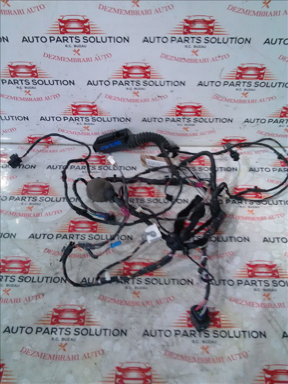 Instalatie electrica usa stanga fata BMW SERIA 5 G30