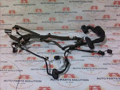 Instalatie electrica usa stanga fata RENAULT FLUENCE