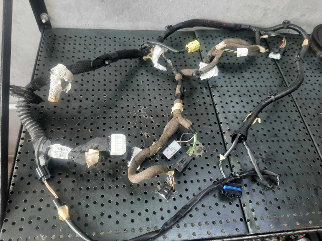 Instalatie electrica usa stanga fata renault kadjar ha hl 241243628r