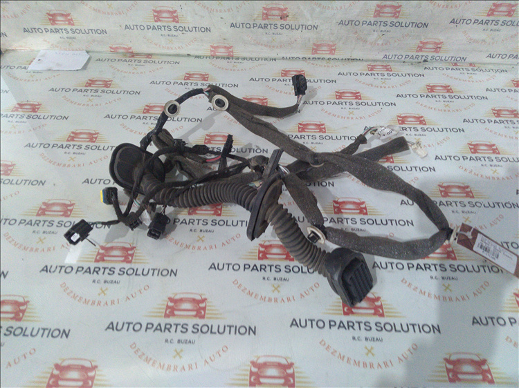 Instalatie electrica usa stanga fata RENAULT GRAND SCENIC an fabr.2011
