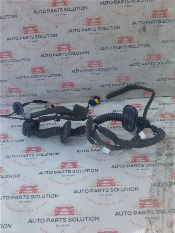 Instalatie electrica usa stanga fata RENAULT MEGANE 3