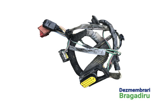 Instalatie electrica usa stanga Renault Megane [facelift] [1999 - 2003] Coupe 1.6 MT (107 hp)