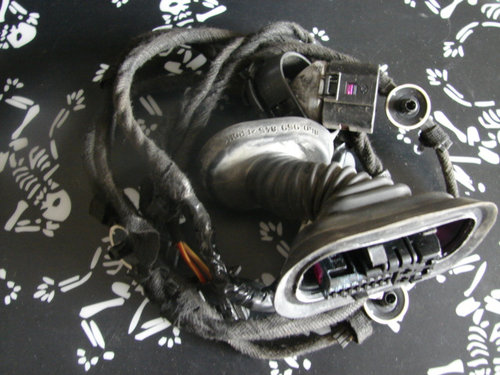 Instalatie electrica usa stanga spate Audi A4 B6 [2000 - 2005] Sedan 1.9 TDI 5MT (130 hp) 1.9 TDI AW...