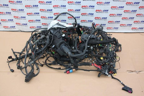 Instalatie electrica Volkswagen Amarok 2009-2016