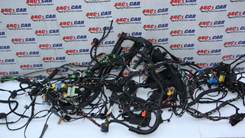 Instalatie electrica Volkswagen Caddy 3 facelift 2010-2015 CAYX