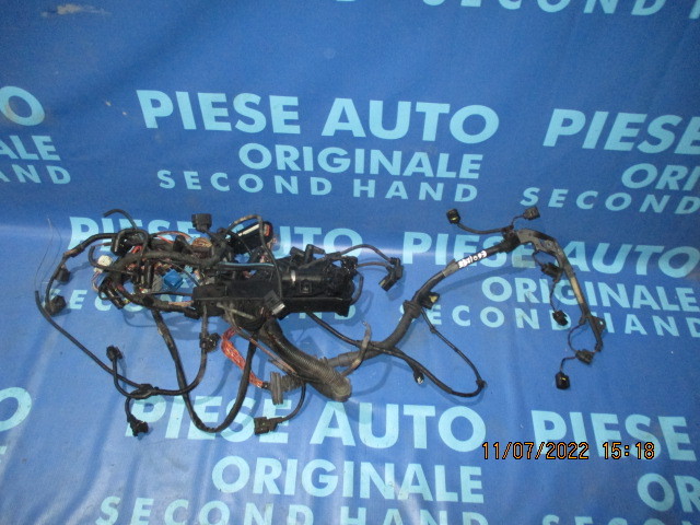 Instalatie motor BMW E60 530d