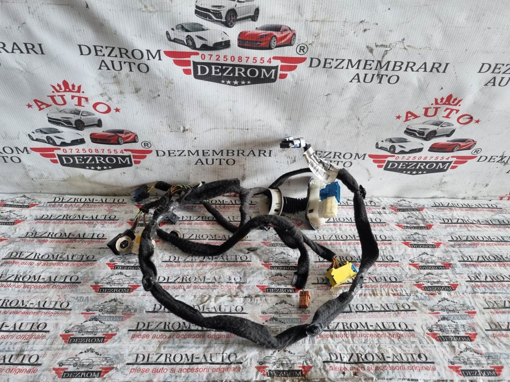 Instalatie usa stanga fata Citroen C4 B7 cod piesa : 9675648280
