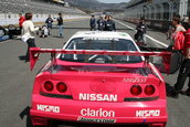Instantaneu: Nissan Skyline R33 GT-R LM