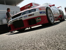 Instantaneu: Nissan Skyline R33 GT-R LM