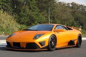 Intalnire Lamborghini Club Japonia